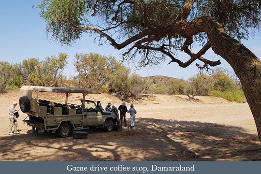 Morning coffee stop on a trip to see desert-adapted Elephants