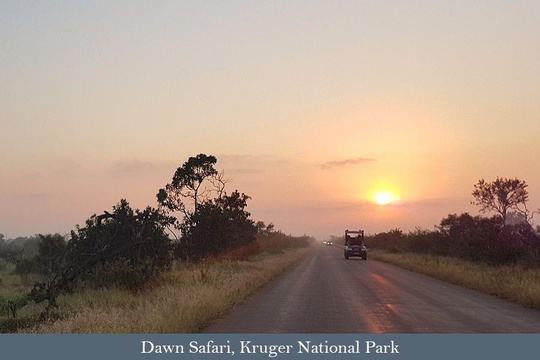 Early morning safari from Satara Rest Camp