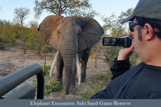 Tour participant filming an Elephant bull
