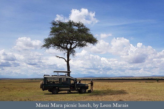 Tour participants having a picnic lunch stop in the Masai Mara