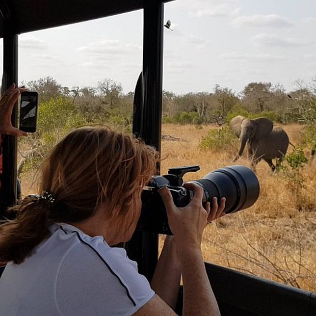 Safari moments in the Kruger National Park