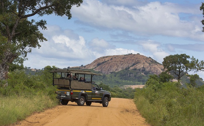 Day Trips to Kruger National Park offered by Lawsons Birding and Wildlife Safaris.